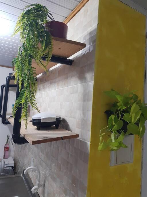 Townhousefloripa I Praia Do Mocambique Riovermelho フロリアノポリス エクステリア 写真