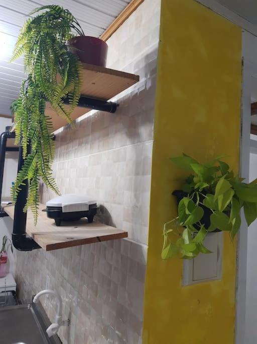 Townhousefloripa I Praia Do Mocambique Riovermelho フロリアノポリス エクステリア 写真