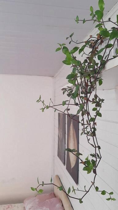 Townhousefloripa I Praia Do Mocambique Riovermelho フロリアノポリス エクステリア 写真
