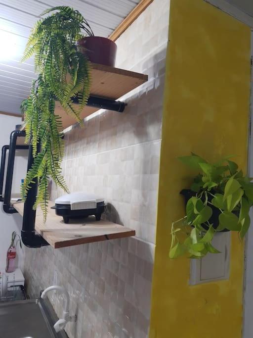 Townhousefloripa I Praia Do Mocambique Riovermelho フロリアノポリス エクステリア 写真