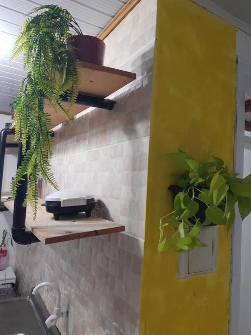 Townhousefloripa I Praia Do Mocambique Riovermelho フロリアノポリス エクステリア 写真